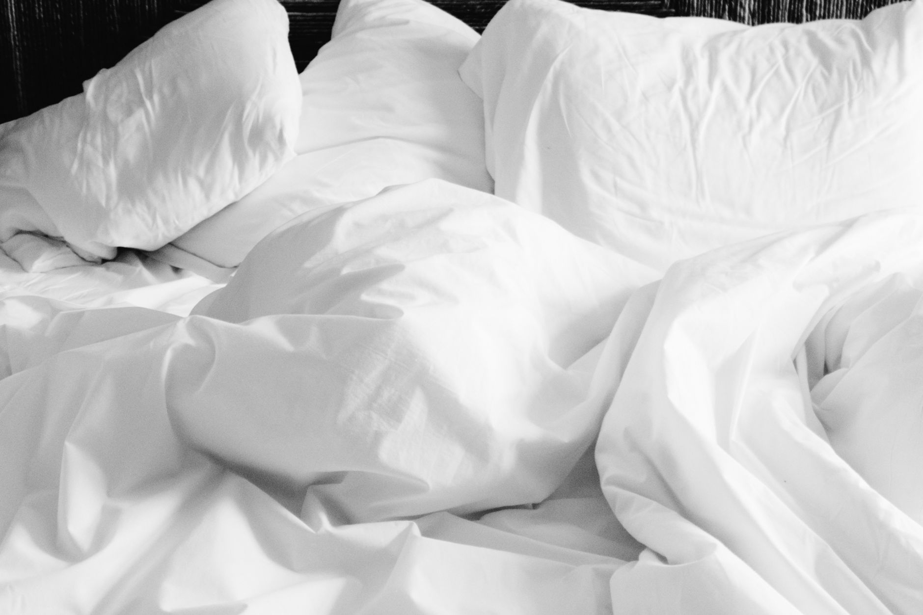 Bed Bugs